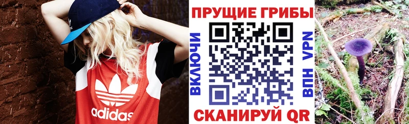Псилоцибиновые грибы MAGIC MUSHROOMS Алушта